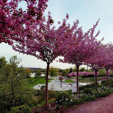 Ferienwohnung Auszeit لوسهايم المظهر الخارجي الصورة